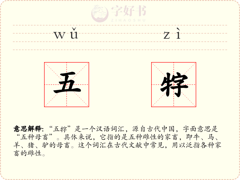 五牸
