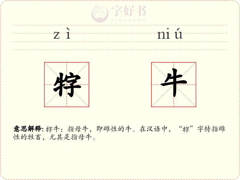 牸牛
