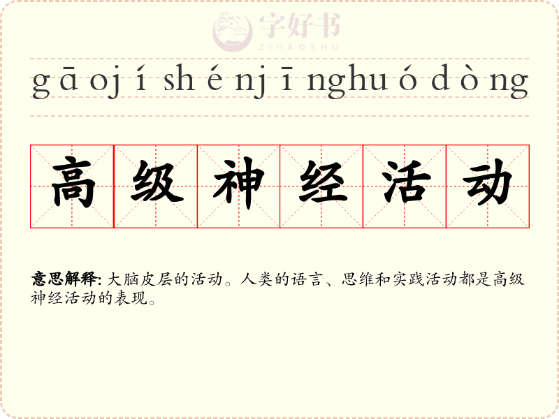 高级神经活动