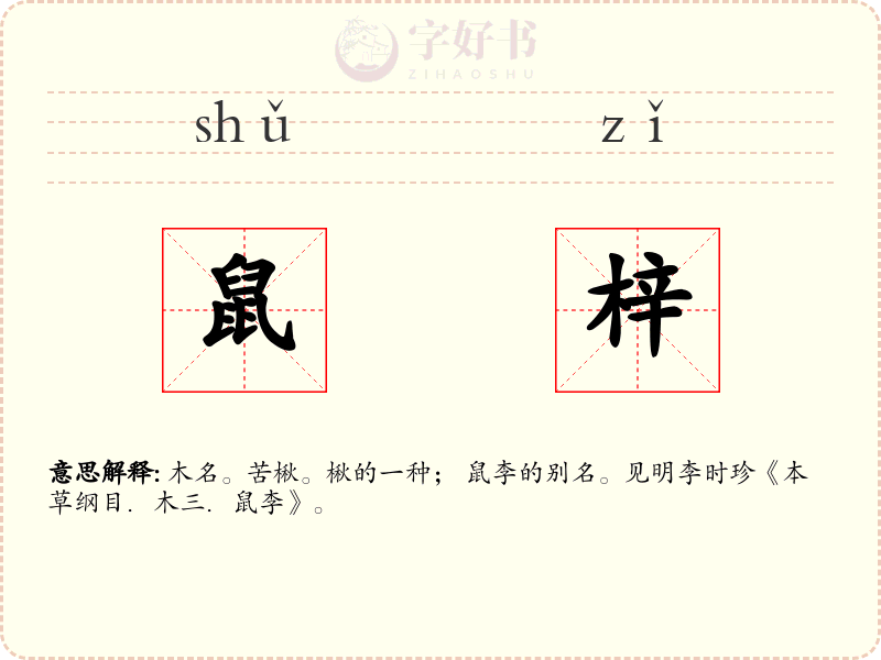 鼠梓
