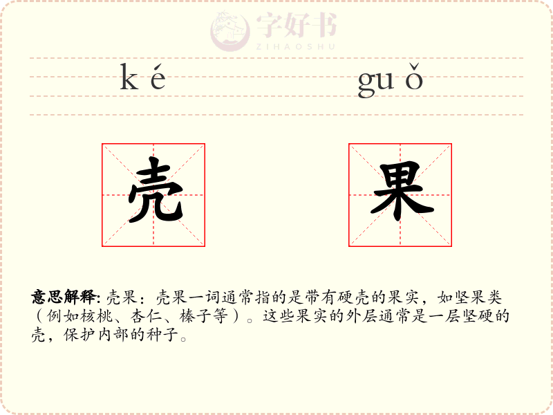 壳果