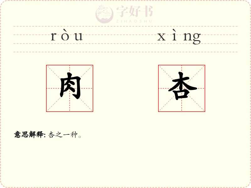 肉杏