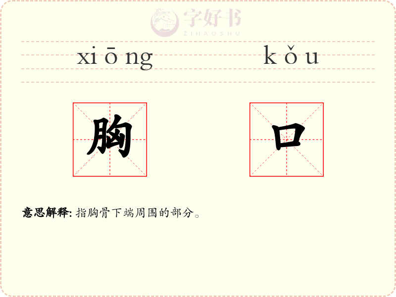 胸口