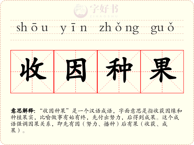 收因种果