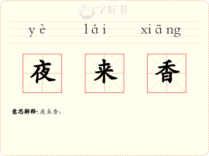 夜来香