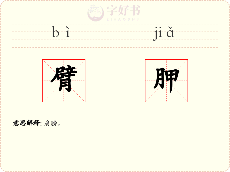 臂胛