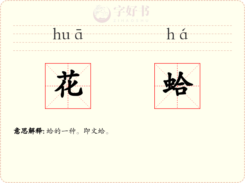 花蛤
