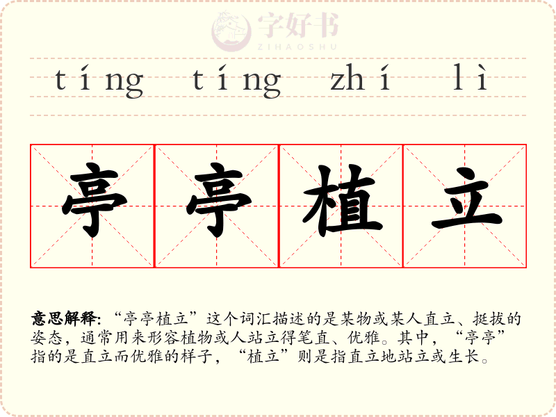 亭亭植立