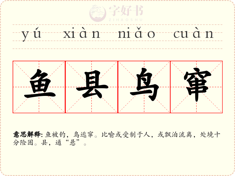 鱼县鸟窜