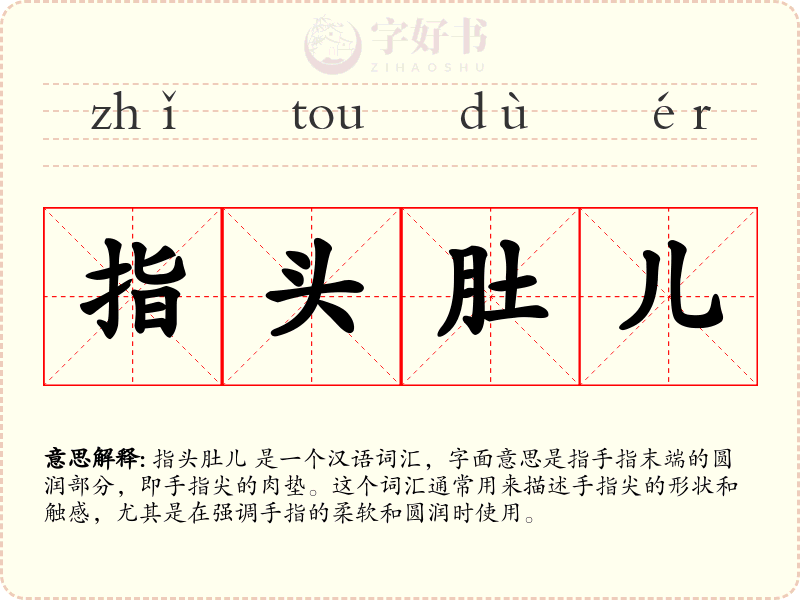 指头肚儿