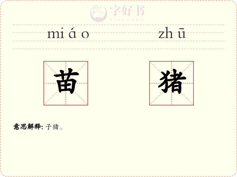 苗猪