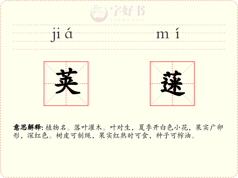 荚蒾