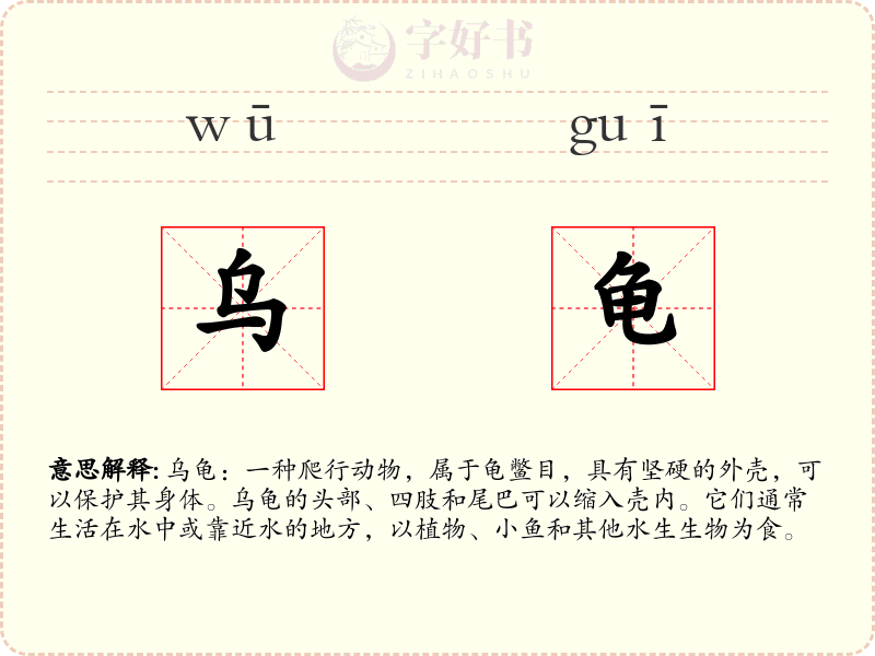 乌龟