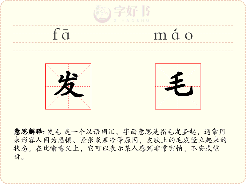 发毛