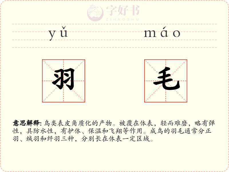 羽毛