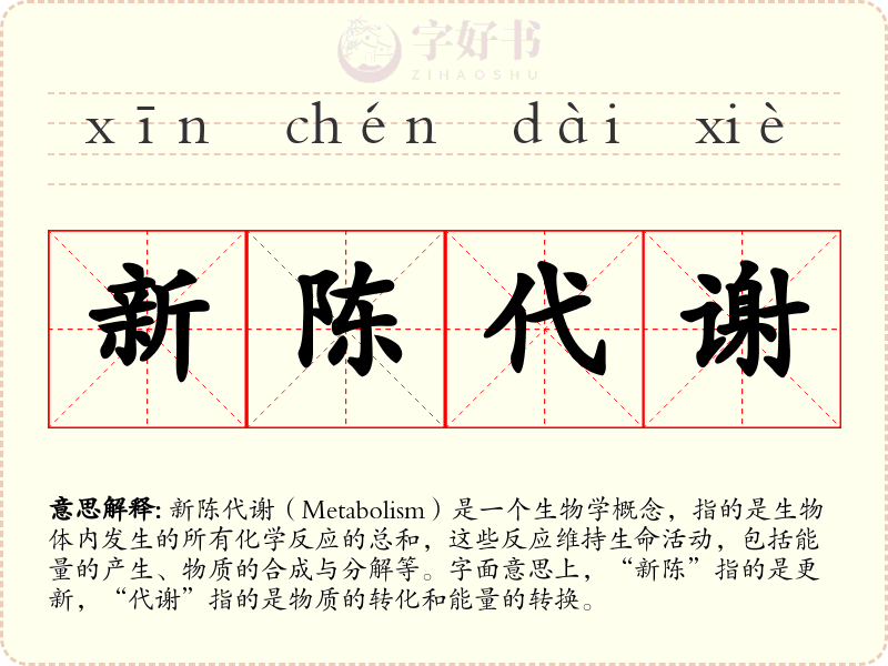 新陈代谢