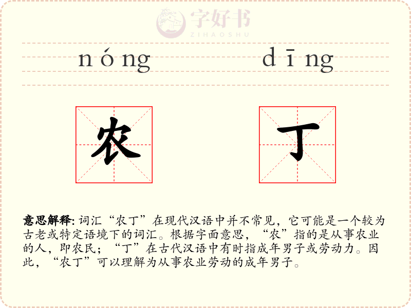 农丁