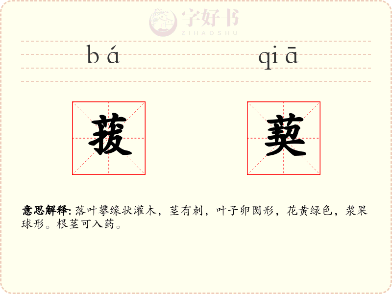 菝葜
