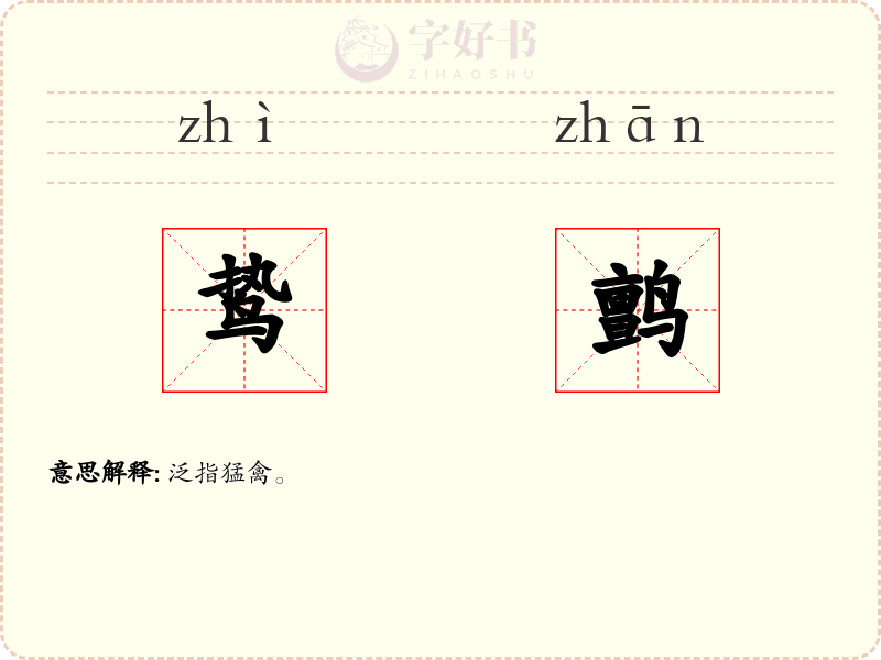 鸷鹯