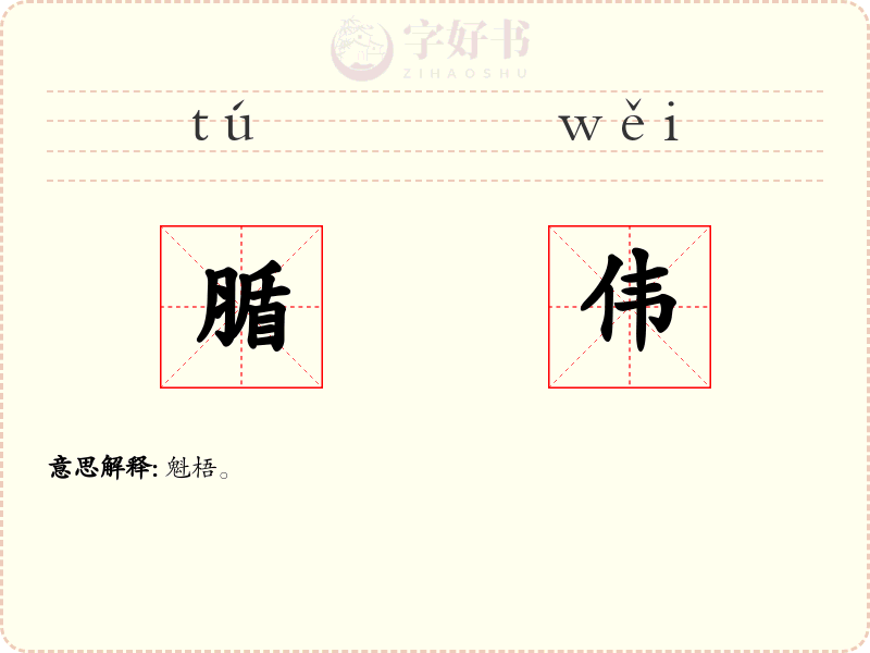 腯伟