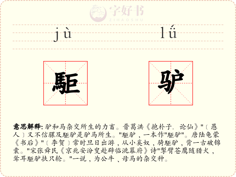 駏驴