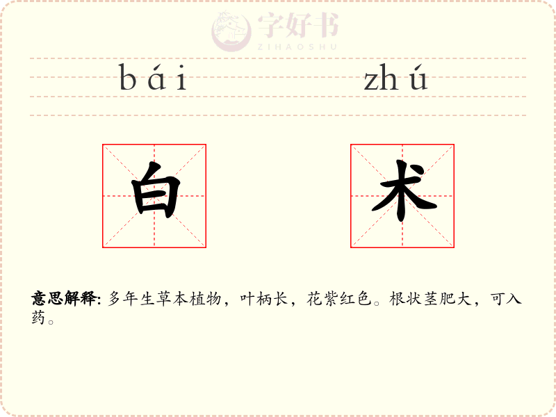 白术