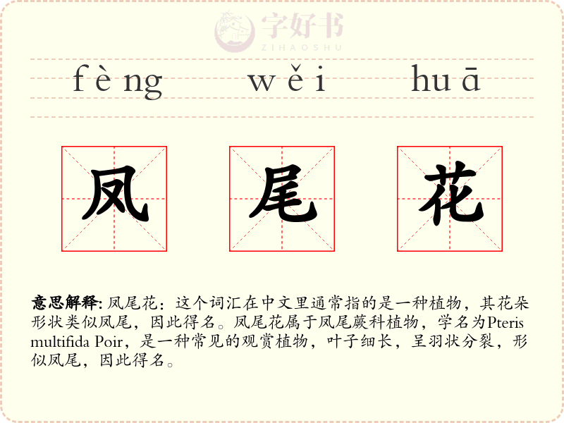 凤尾花