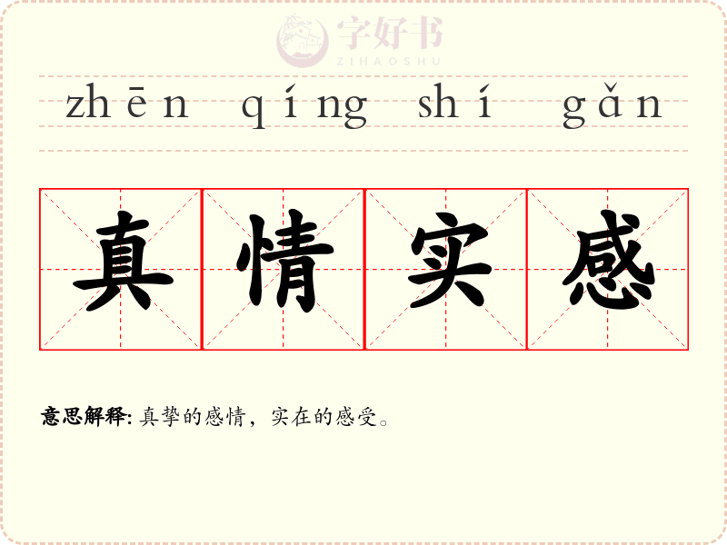 真情实感