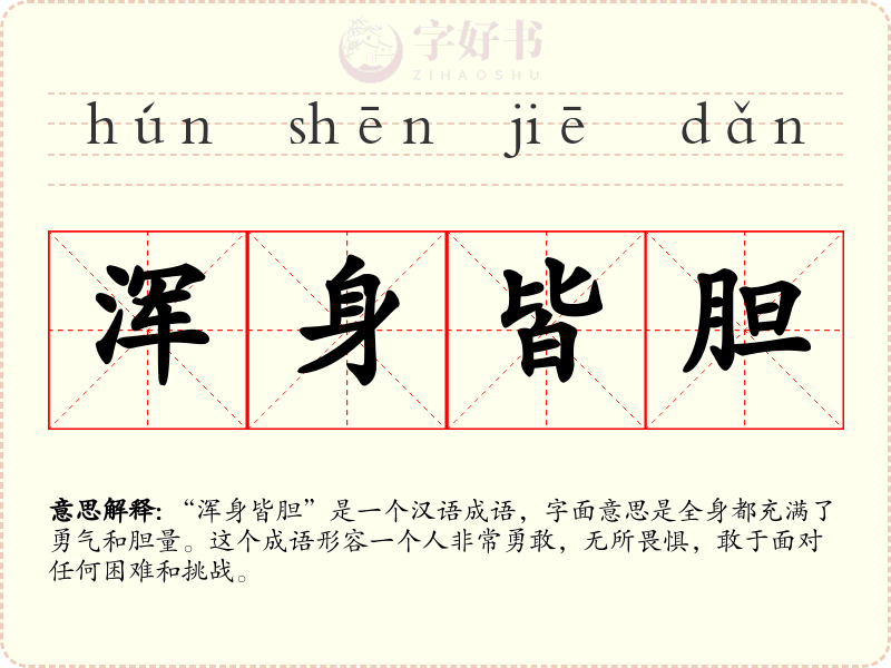 浑身皆胆