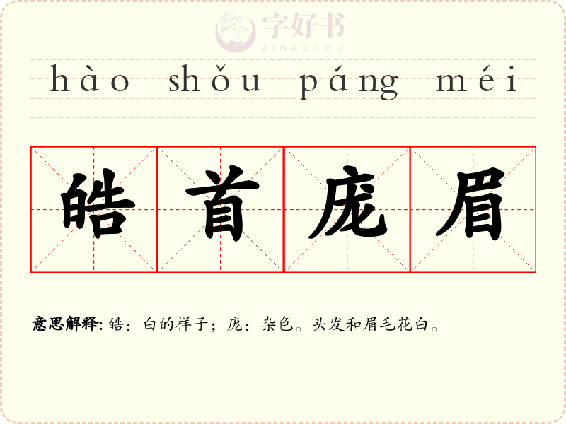 皓首庞眉