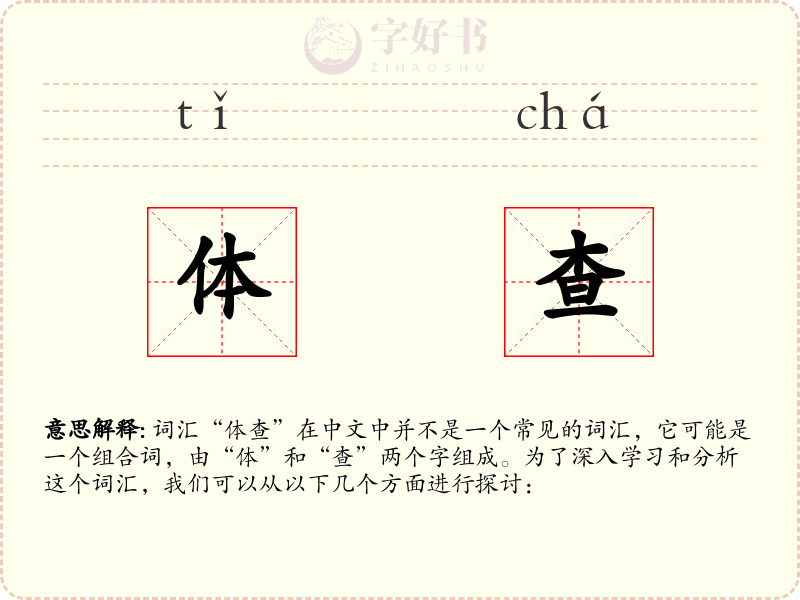 体查