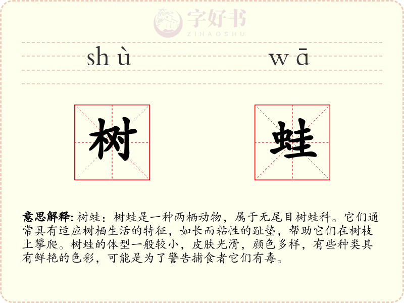树蛙