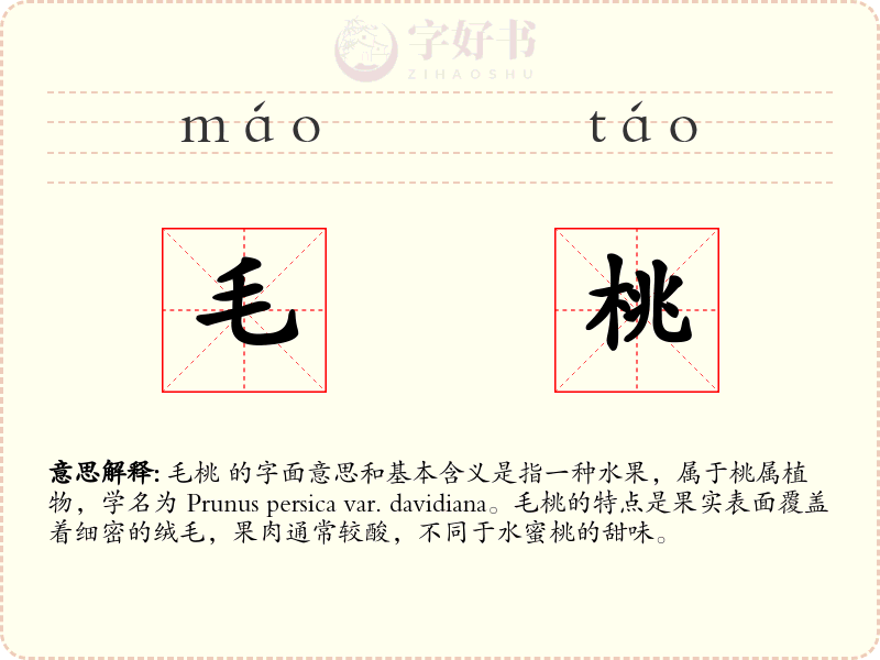 毛桃