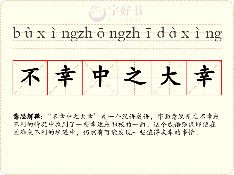 不幸中之大幸