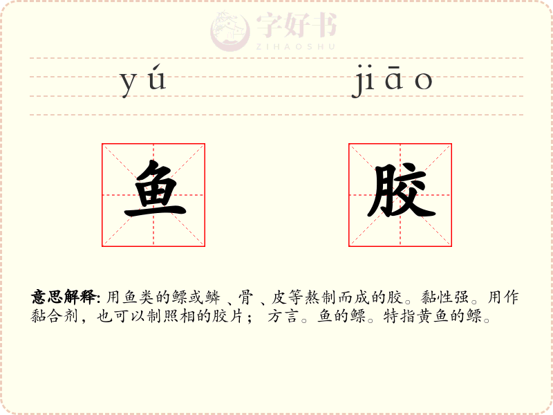 鱼胶