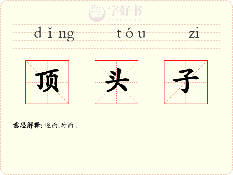 顶头子