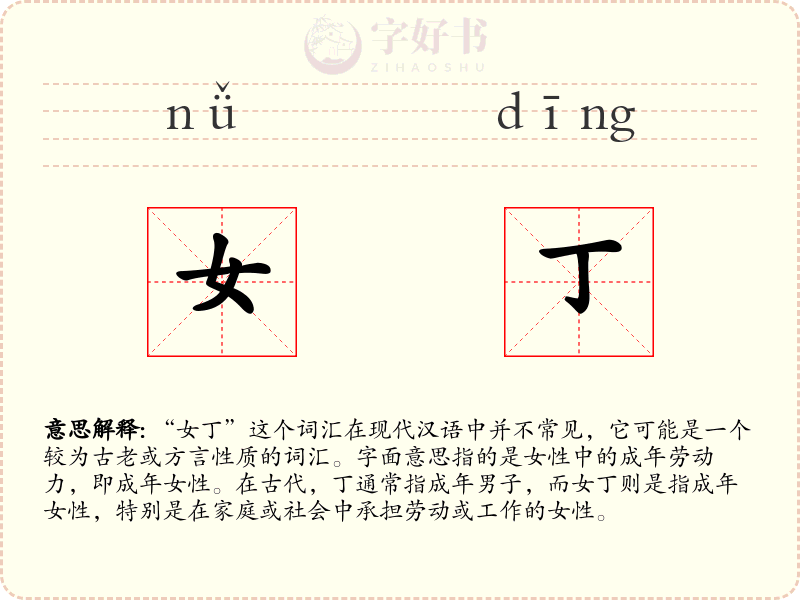 女丁