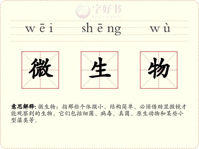 微生物