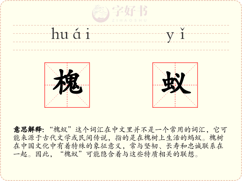 槐蚁