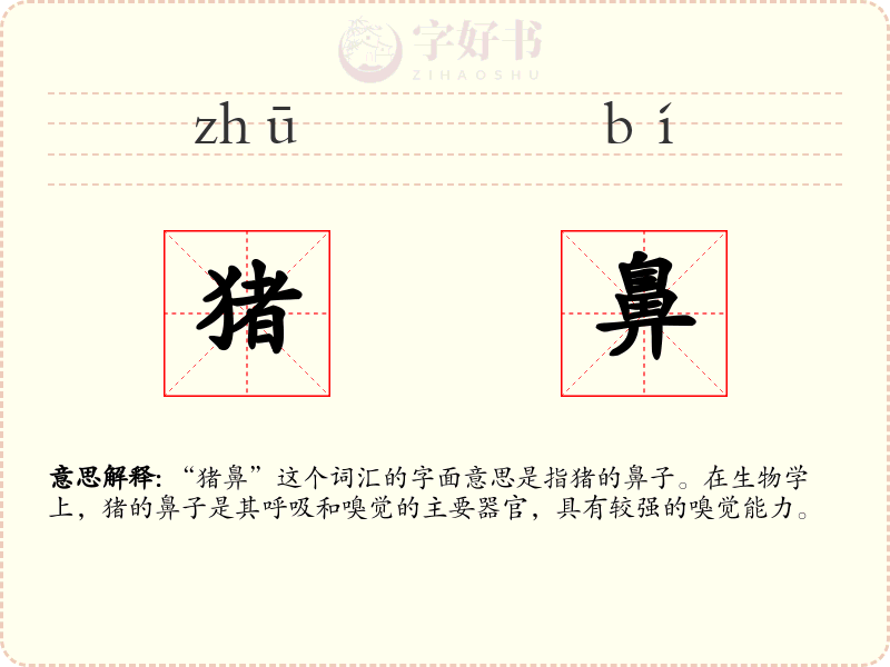 猪鼻