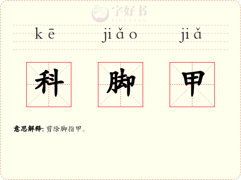 科脚甲