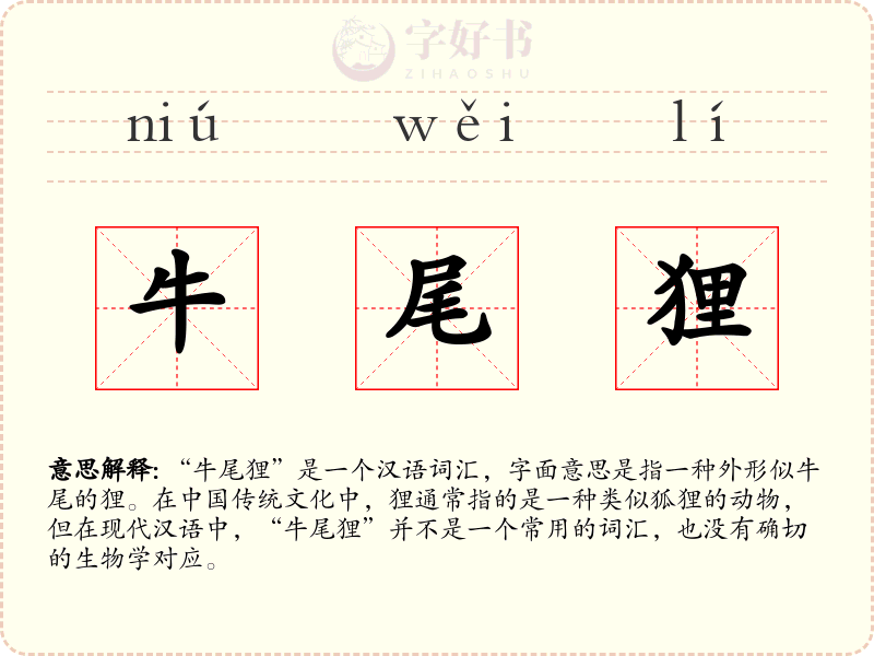 牛尾狸