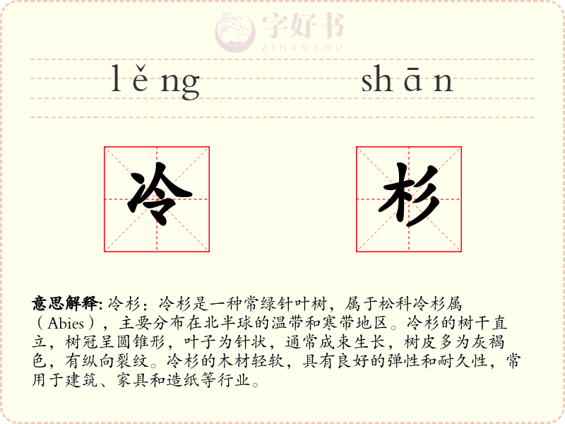 冷杉