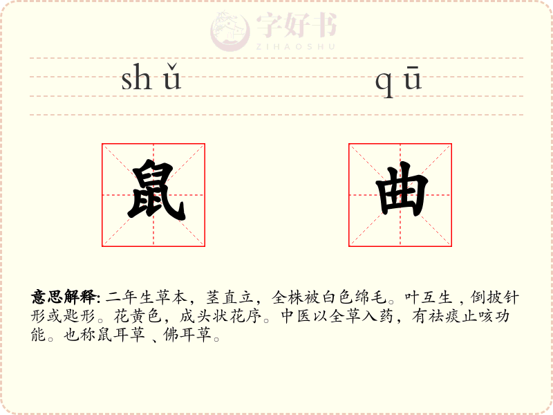 鼠曲