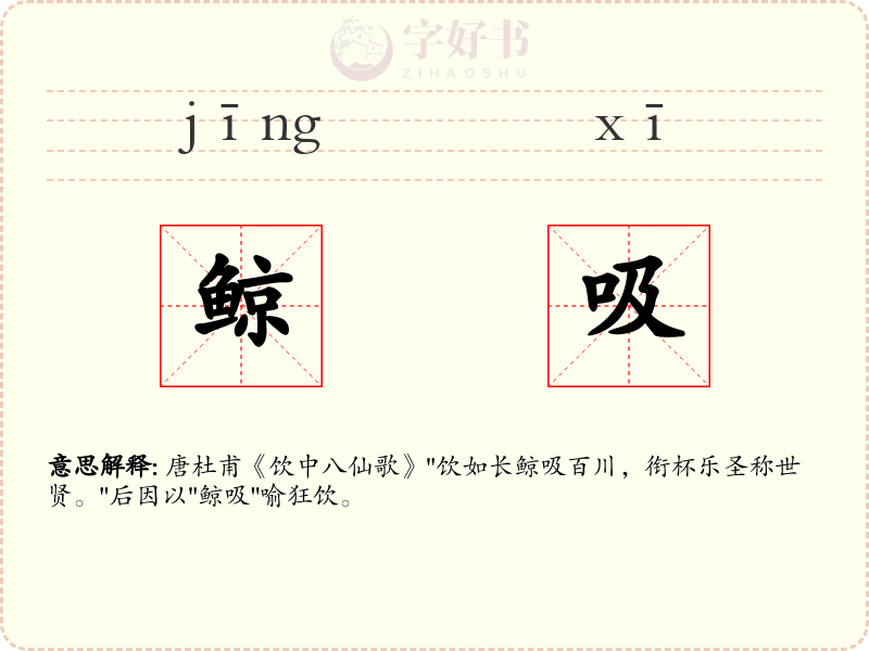 鲸吸