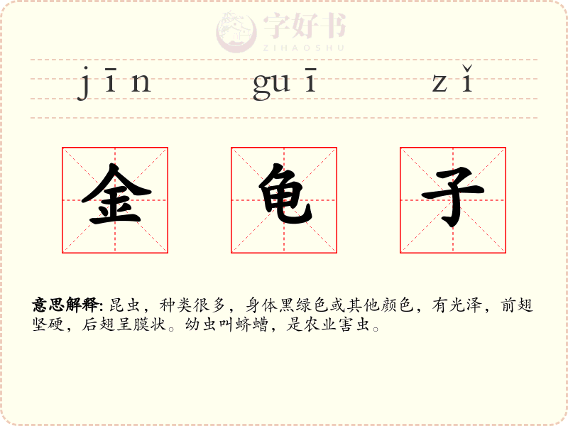 金龟子