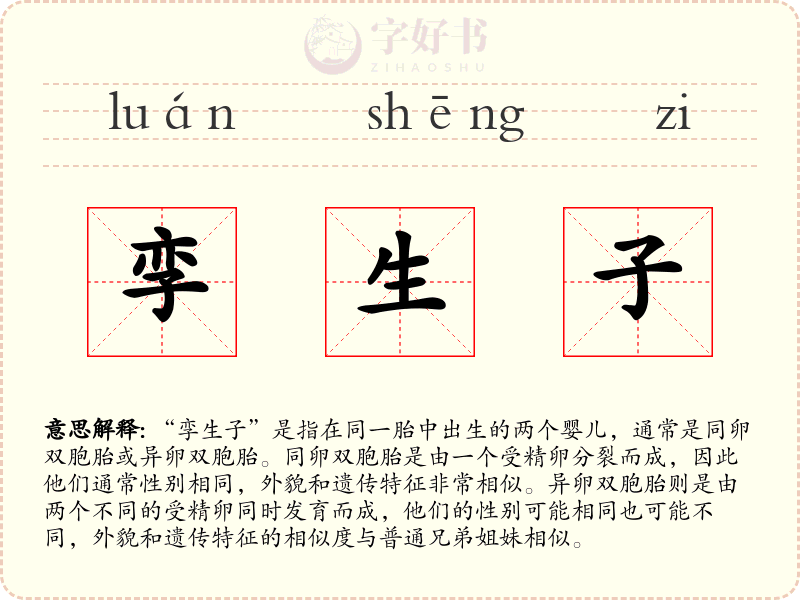 孪生子