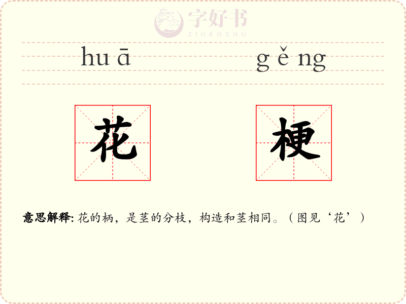 花梗