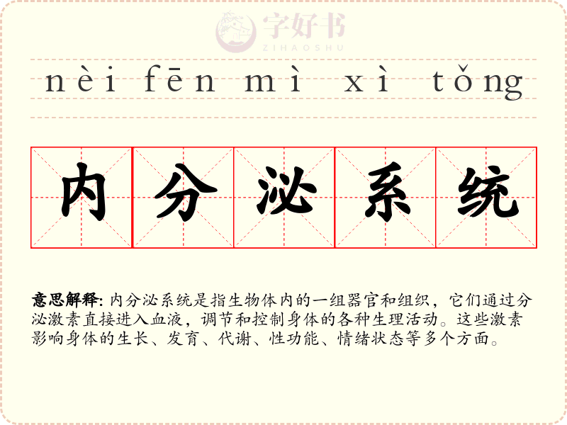 内分泌系统