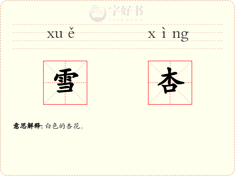 雪杏